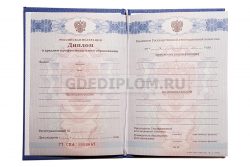 диплом воспитателя колледж техникум 2011-2013